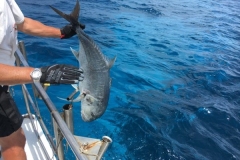 Fishing-at-David-Shoal-101