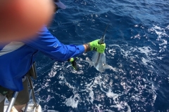 Fishing-at-David-Shoal-119