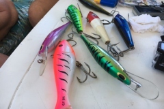 Fishing-at-David-Shoal-15