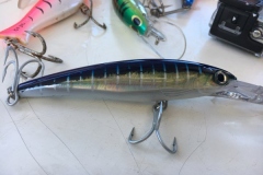 Fishing-at-David-Shoal-16