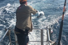 Fishing-at-David-Shoal-252