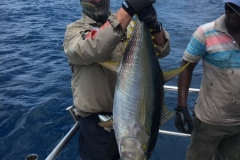 Fishing-at-David-Shoal-253