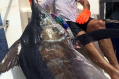 Fishing-at-David-Shoal-46