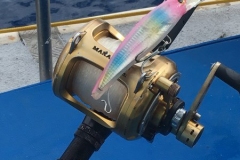 Fishing-at-David-Shoal-47