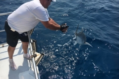 Fishing-at-David-Shoal-73