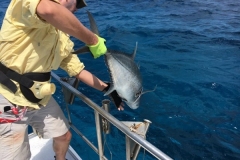 Fishing-at-David-Shoal-98