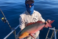 Fishing-in-Fogo-Islands-Lucky-Strike-Fishing-Charters-5