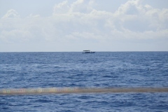 Panteloon-Shoal-Fishing-101
