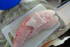 Panteloon-Shoal-Fishing-102