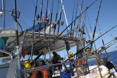 Panteloon-Shoal-Fishing-110