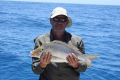Panteloon-Shoal-Fishing-121