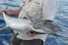Panteloon-Shoal-Fishing-20
