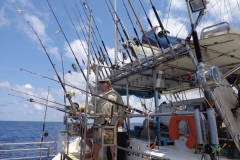 Panteloon-Shoal-Fishing-31