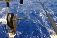 Panteloon-Shoal-Fishing-32
