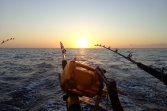 Panteloon-Shoal-Fishing-37