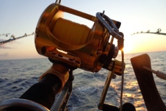 Panteloon-Shoal-Fishing-38