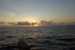 Panteloon-Shoal-Fishing-46