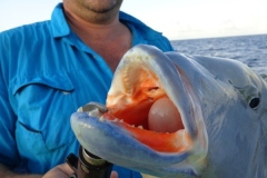 Panteloon-Shoal-Fishing-48