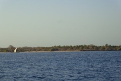 Panteloon-Shoal-Fishing-69