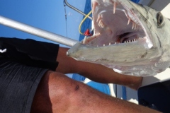Panteloon-Shoal-Fishing-74