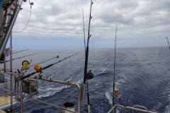 Panteloon-Shoal-Fishing-87