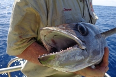 Panteloon-Shoal-Fishing-91