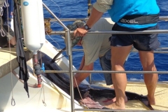 Panteloon-Shoal-Fishing-92