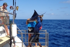 Panteloon-Shoal-Fishing-93
