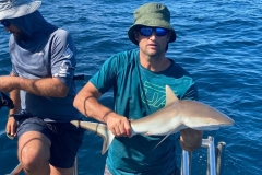 Preimeiras-Banks-Fishing-35-species-of-gish-13