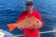 Preimeiras-Banks-Fishing-35-species-of-gish-14