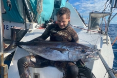 Preimeiras-Banks-Fishing-35-species-of-gish-15