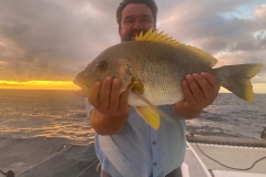 Preimeiras-Banks-Fishing-35-species-of-gish-17