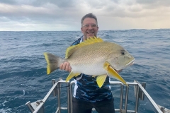 Preimeiras-Banks-Fishing-35-species-of-gish-23
