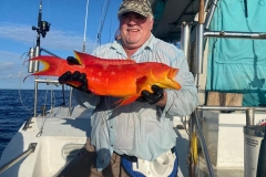 Preimeiras-Banks-Fishing-35-species-of-gish-27
