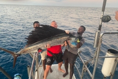 Preimeiras-Banks-Fishing-35-species-of-gish-37