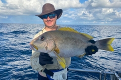 Preimeiras-Banks-Fishing-35-species-of-gish-41