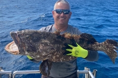 Preimeiras-Banks-Fishing-35-species-of-gish-42