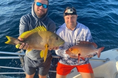 Preimeiras-Banks-Fishing-35-species-of-gish-43