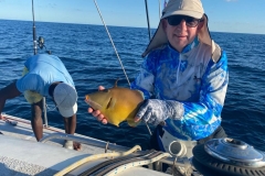 Preimeiras-Banks-Fishing-35-species-of-gish-44