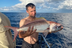 Preimeiras-Banks-Fishing-35-species-of-gish-47
