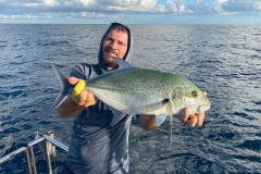 Preimeiras-Banks-Fishing-35-species-of-gish-48