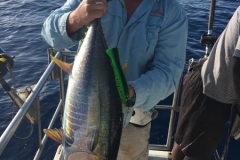 Fishing-in-Primeiras-Banks-100