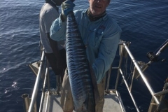Fishing-in-Primeiras-Banks-113
