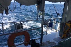 Fishing-in-Primeiras-Banks-156
