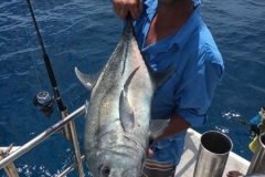 Fishing-in-Primeiras-Banks-185