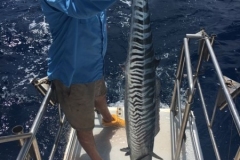 Fishing-in-Primeiras-Banks-200