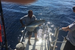 Fishing-in-Primeiras-Banks-22