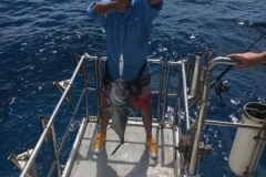 Fishing-in-Primeiras-Banks-250