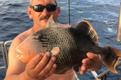 Fishing-in-Primeiras-Banks-287