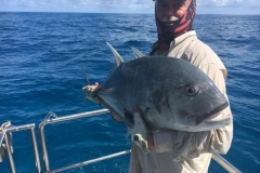 Fishing-in-Primeiras-Banks-294